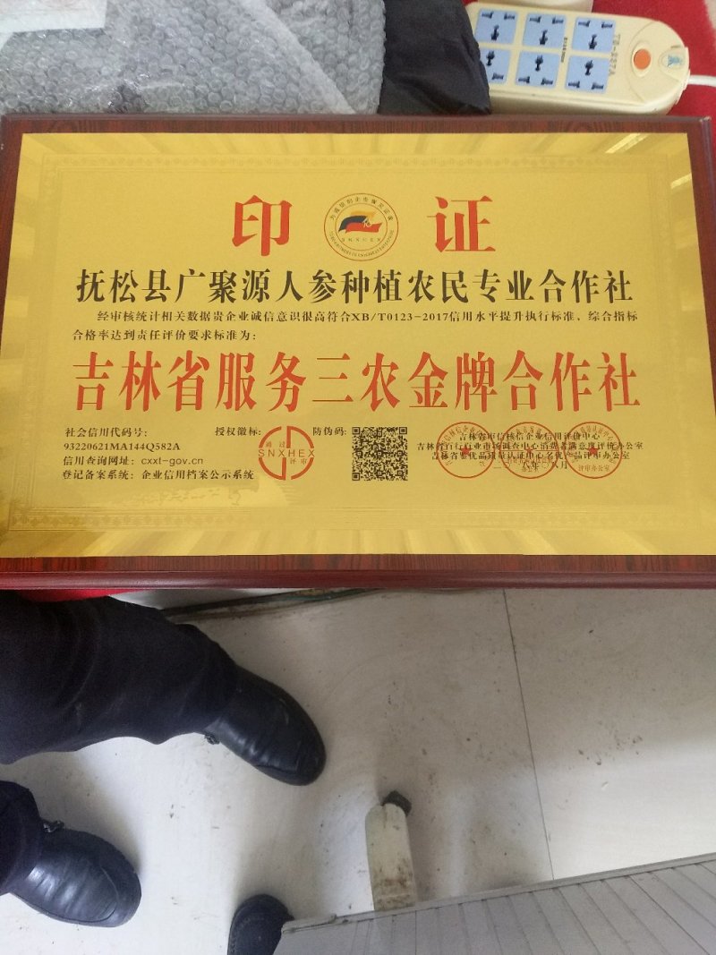 特级鲜水参4两多的皮毛好送人经济实惠