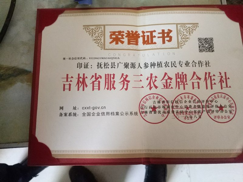 特级鲜水参4两多的皮毛好送人经济实惠