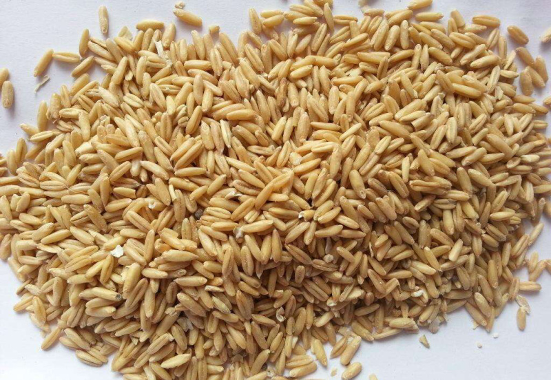 燕麦米燕麦农家五谷杂粮粥磨豆浆农副产品加工