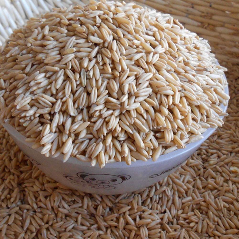 燕麦米燕麦农家五谷杂粮粥磨豆浆农副产品加工