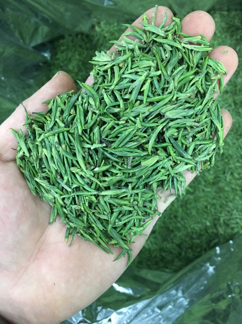 雀舌茶四川雀舌茶2026年雀舌茶包邮