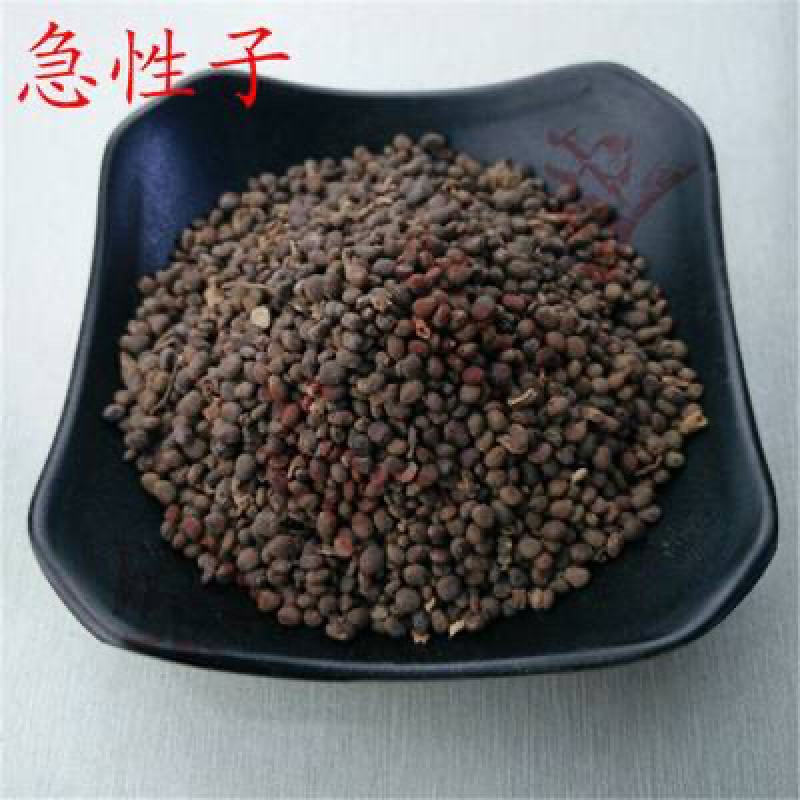 急性子两斤以上包邮凤仙花子指甲花籽指甲花籽