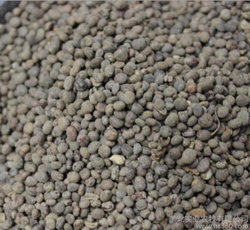 急性子两斤以上包邮凤仙花子指甲花籽指甲花籽