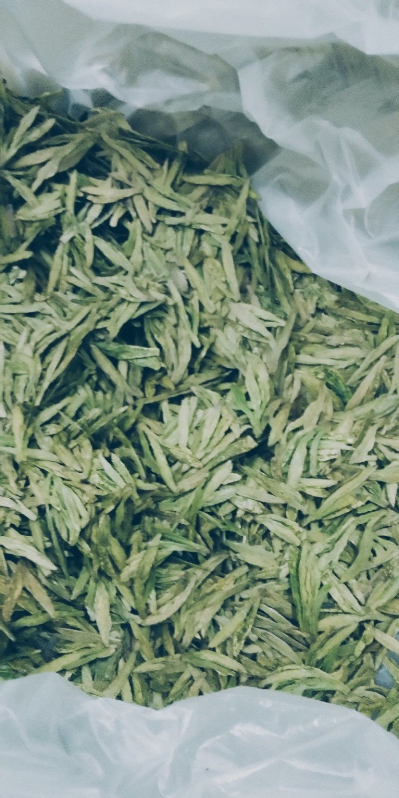 茶叶