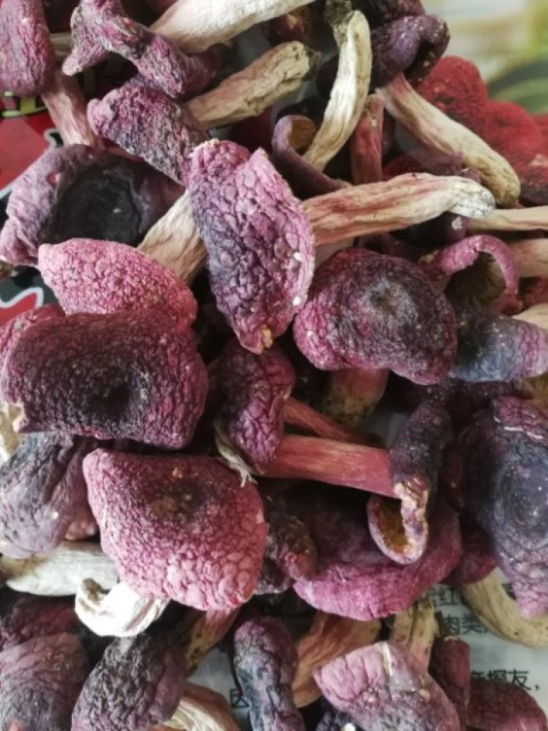 一斤批发深山野生正宗红菇紫红菇特级红椎菌干货红蘑菇红菇蕾