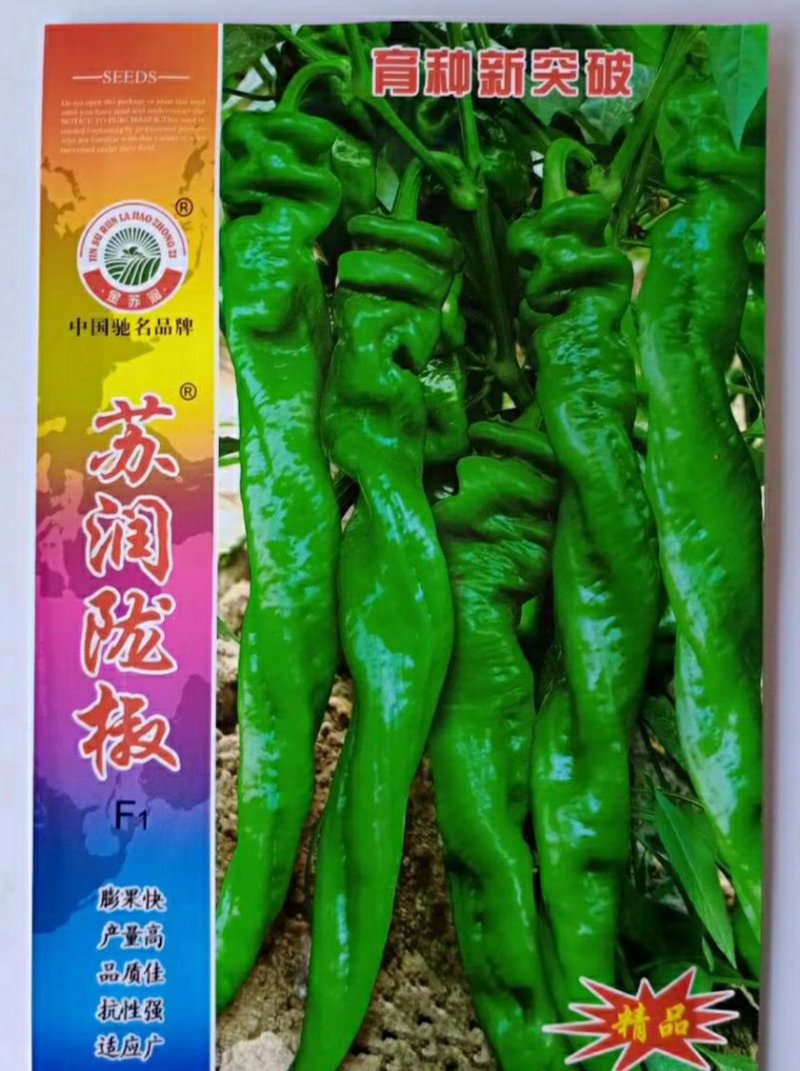 苏润陇椒辣椒种子早中熟螺丝椒皮薄