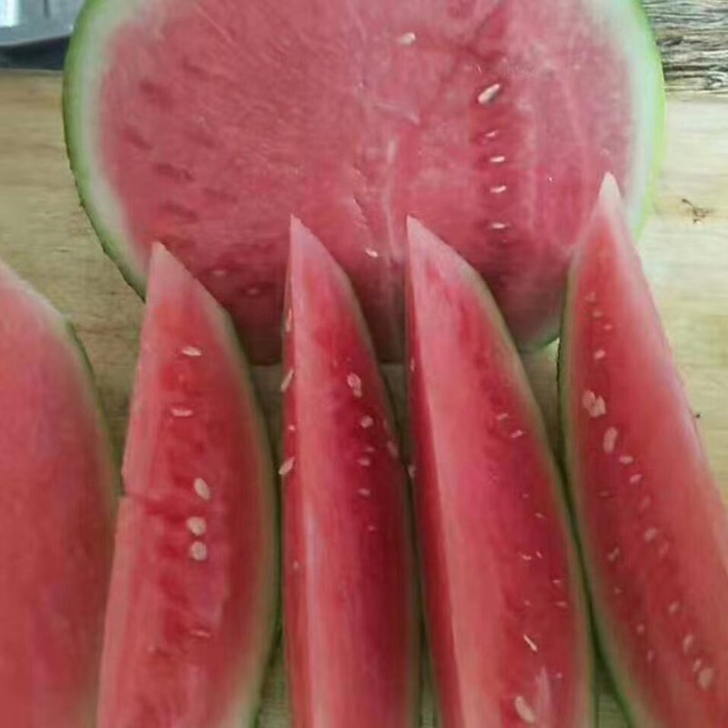 夏邑县美都无籽西瓜，大棚种植.基地直供。