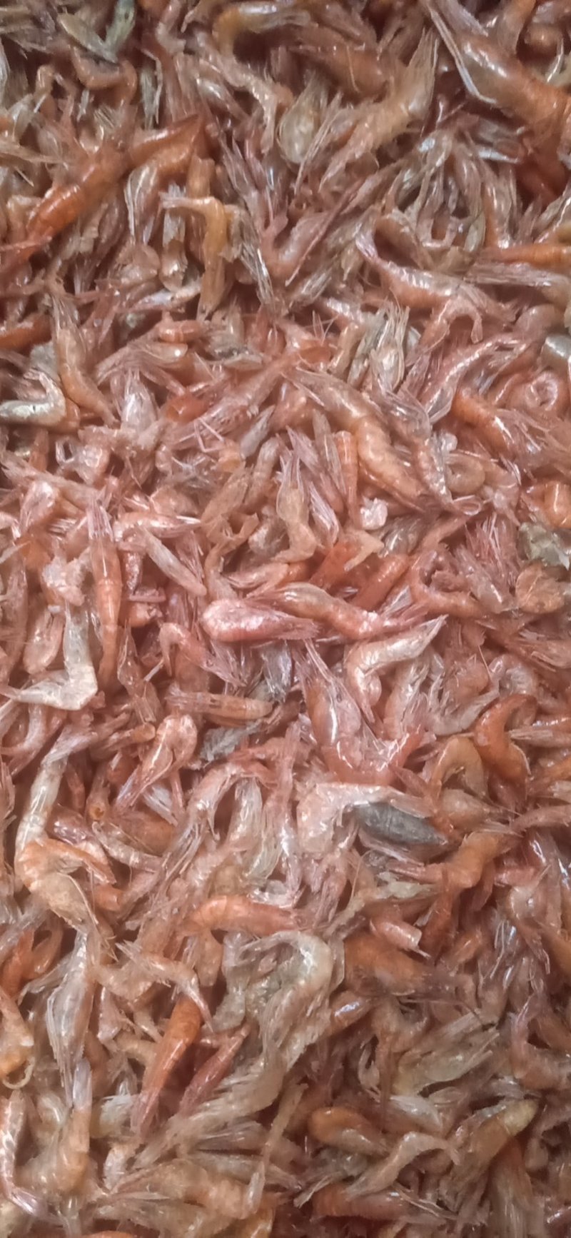 虾干河虾干度好，颜色红