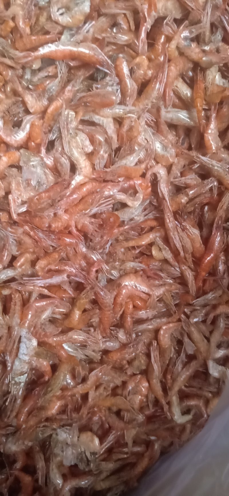 虾干河虾干度好，颜色红