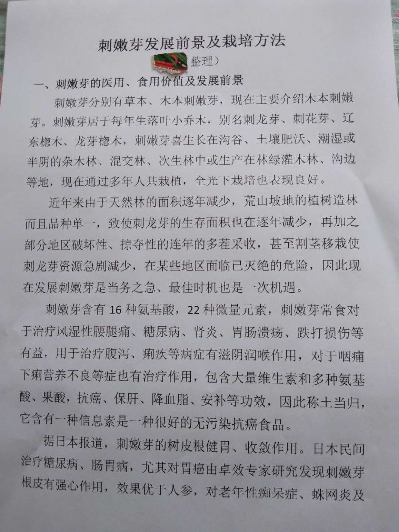 刺嫩芽苗药材种子种苗