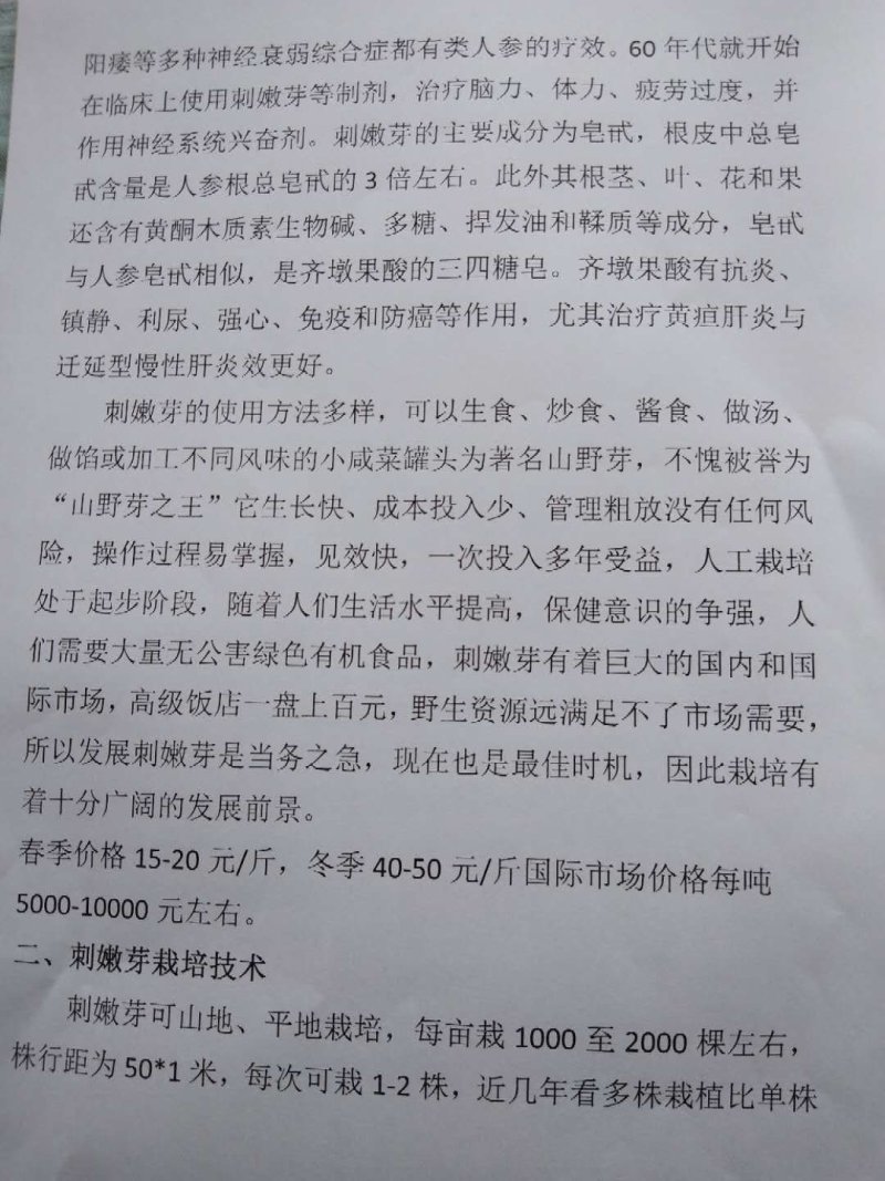 刺嫩芽苗药材种子种苗