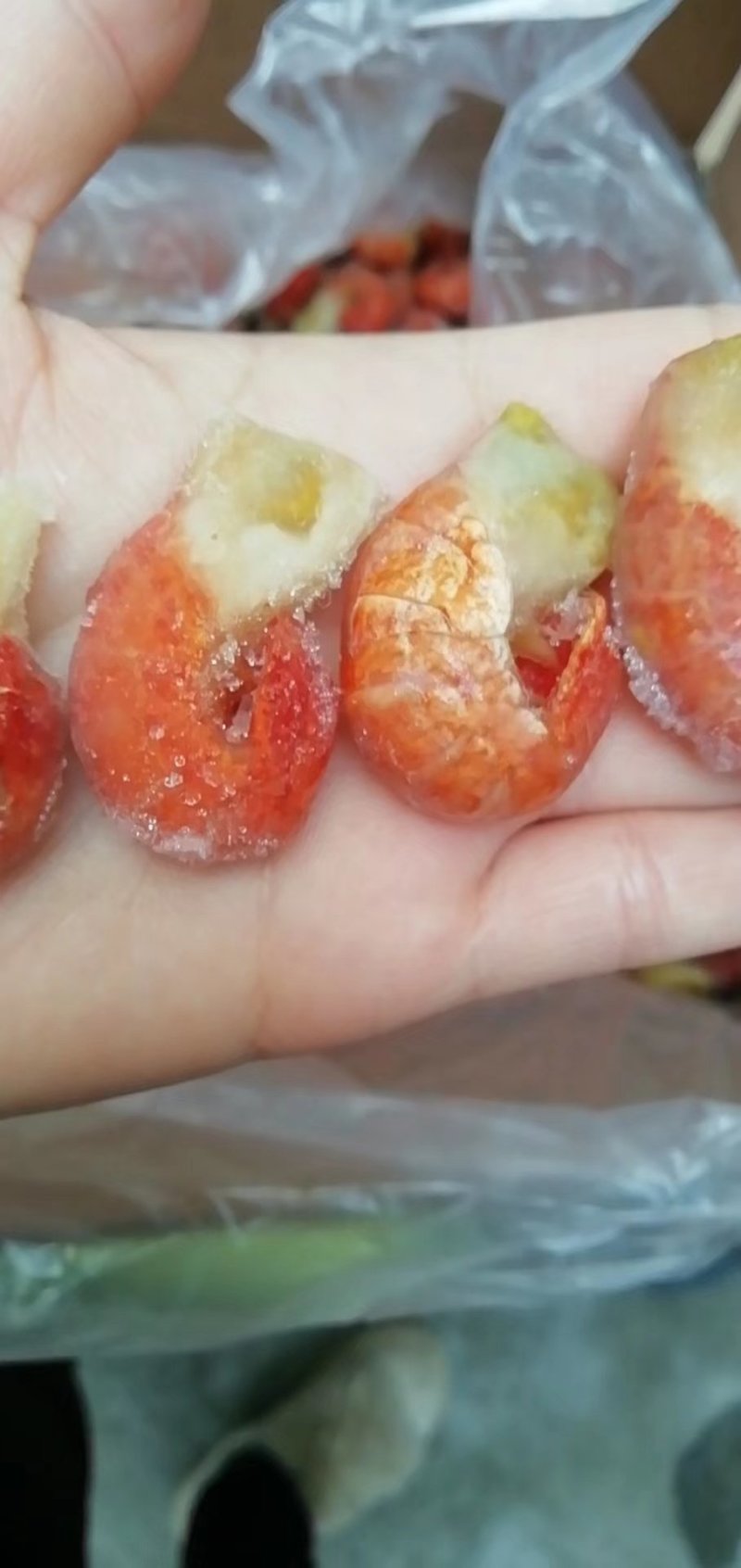龙虾尾
