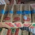 鸡脯肉
