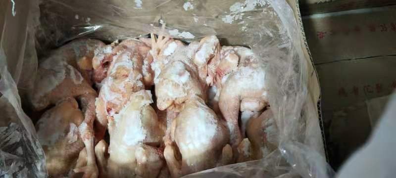 三黄鸡