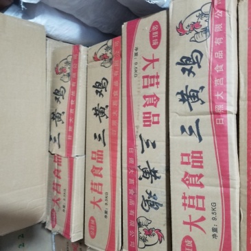 三黄鸡