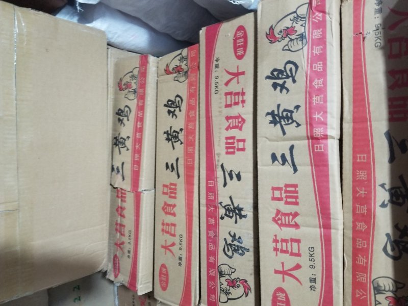 三黄鸡