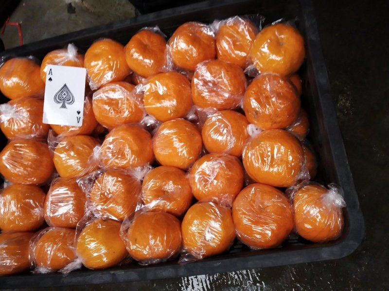 椪柑，湖南万亩产区直供！皮毛干净，颜色红口感甜，易化渣