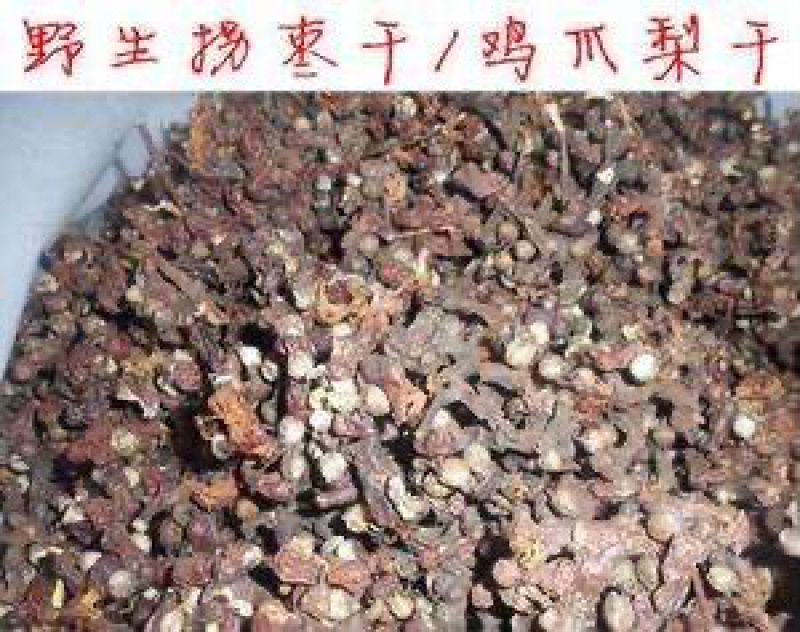 拐枣七枳椇子茶枳棋子金钩子万寿果农家初选