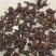 拐枣七枳椇子茶枳棋子金钩子万寿果农家初选