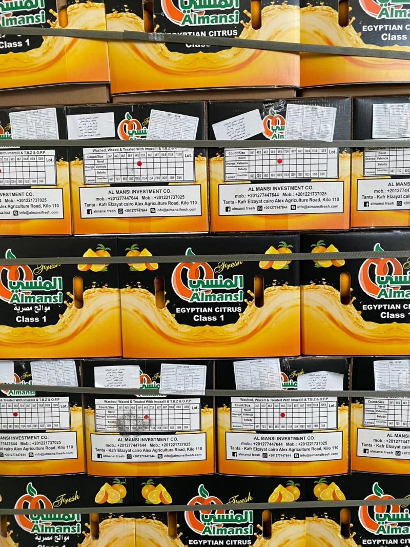 埃及橙