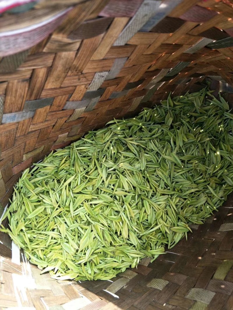 安吉白茶，手工碧螺春，雀舌，竹叶青，红茶，青山绿水