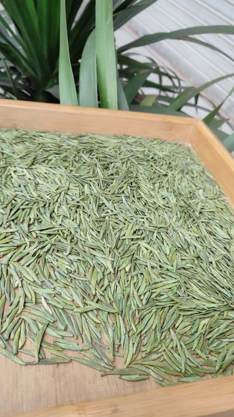 安吉白茶，手工碧螺春，雀舌，竹叶青，红茶，青山绿水