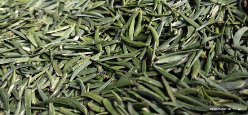 安吉白茶，手工碧螺春，雀舌，竹叶青，红茶，青山绿水