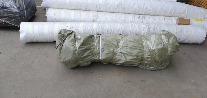 榆树，基地2000亩速生白榆树苗，批发零售，量大优惠