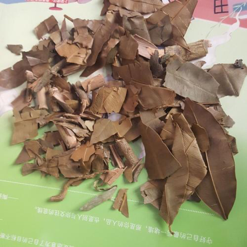 横茎席横经席跌打将军碎骨莲梳篦木横径席