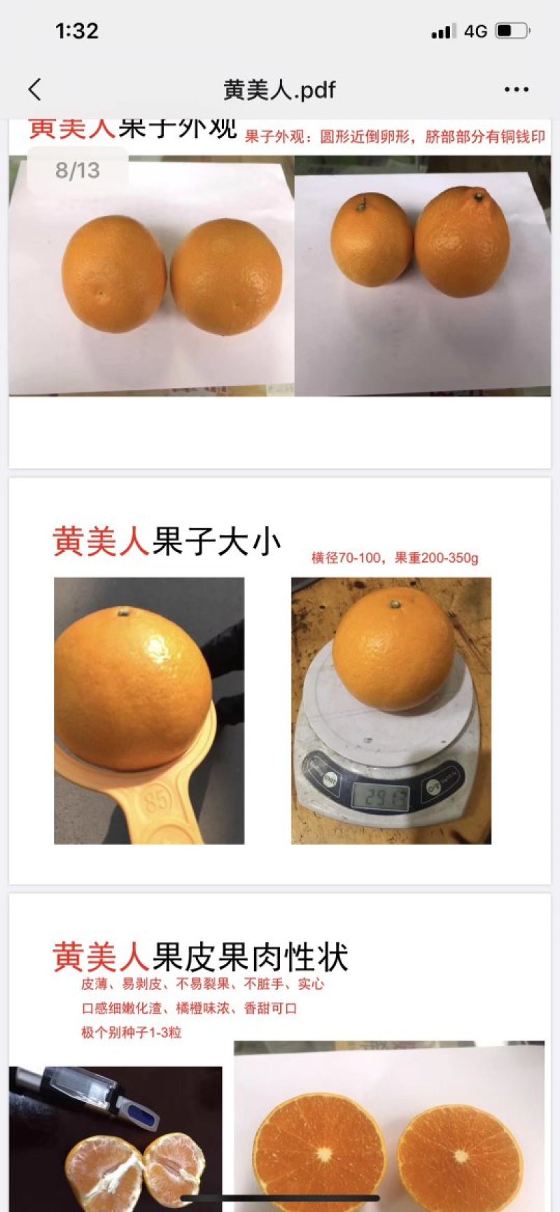黄美人柑橘苗爱媛68种苗品质保证签合同出售保湿发货