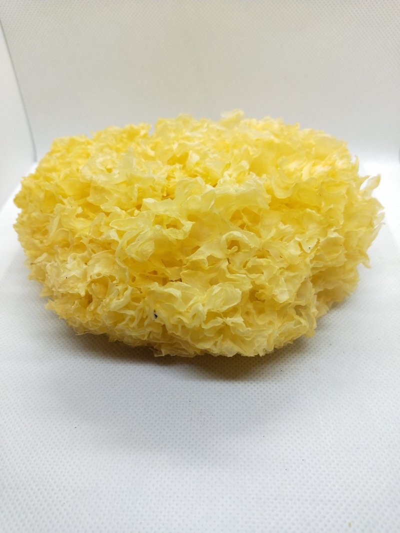 福建银耳古田农家特产银耳干货正宗雪耳碎花银耳10斤/件