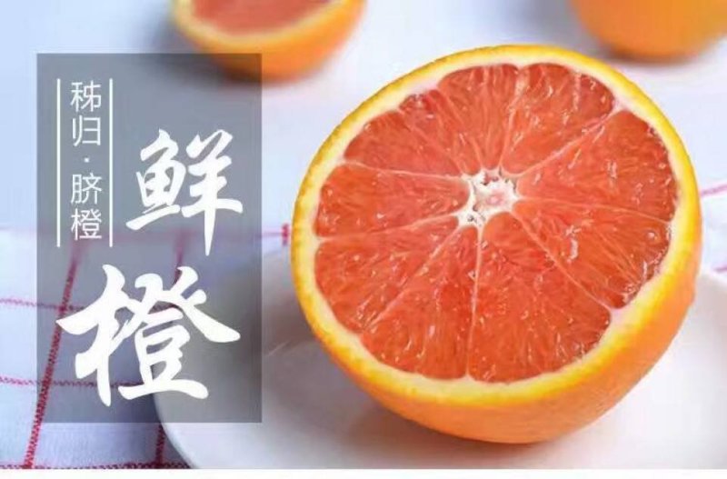 中华红橙红橙果肉富含维生素C10斤2228个46元