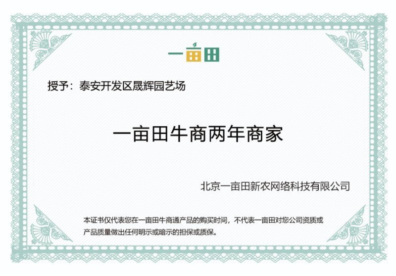 红叶碧桃绿化树农村绿化绿水青山就是金山银山
