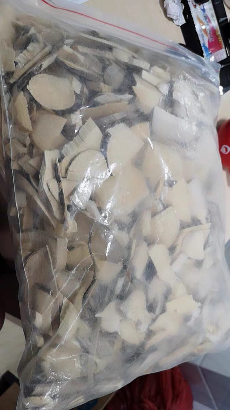 三叉苦纯三丫苦三叉虎三桠苦小黄
