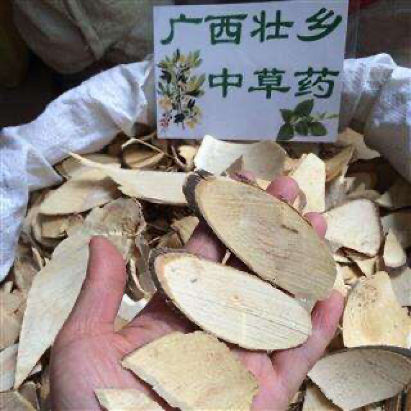 三叉苦纯三丫苦三叉虎三桠苦小黄