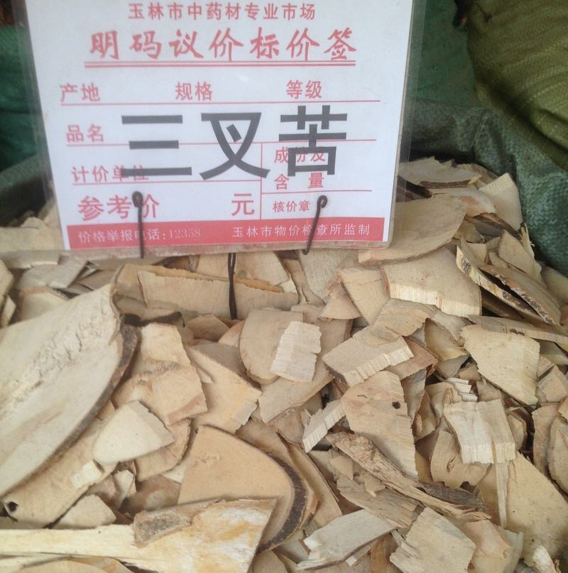 三叉苦纯三丫苦三叉虎三桠苦小黄