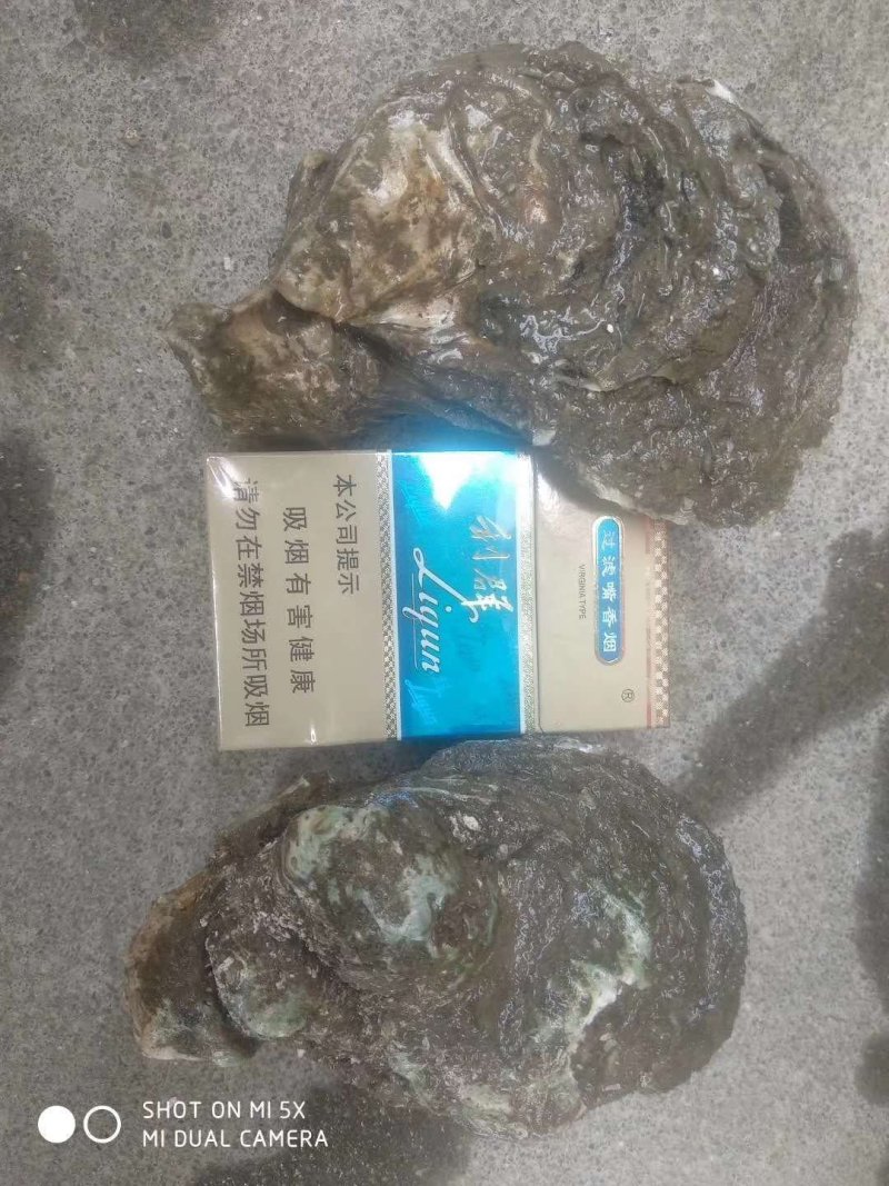 生蚝生鲜水产批发