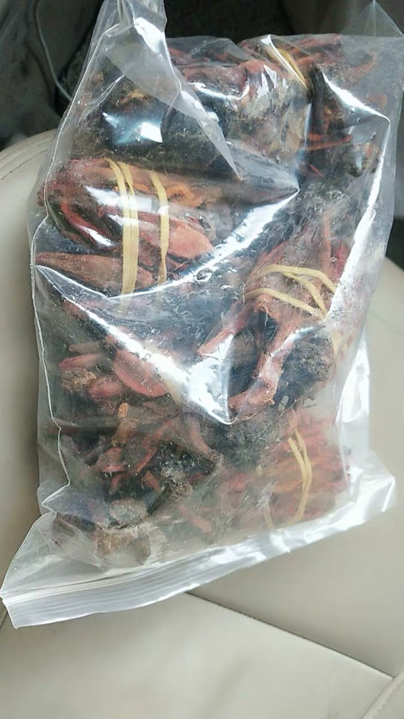 选货回春草一斤顶天柱小货农副土特产品