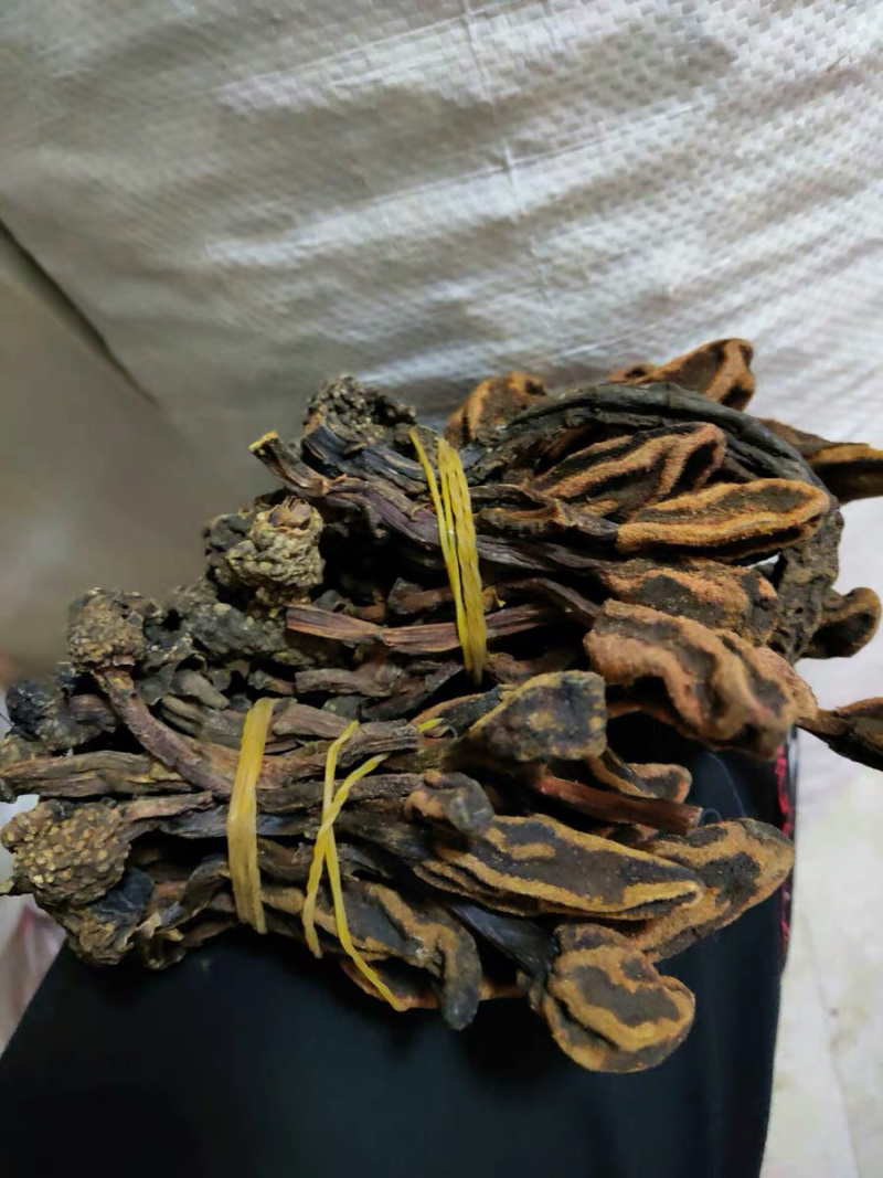 选货回春草一斤顶天柱小货农副土特产品