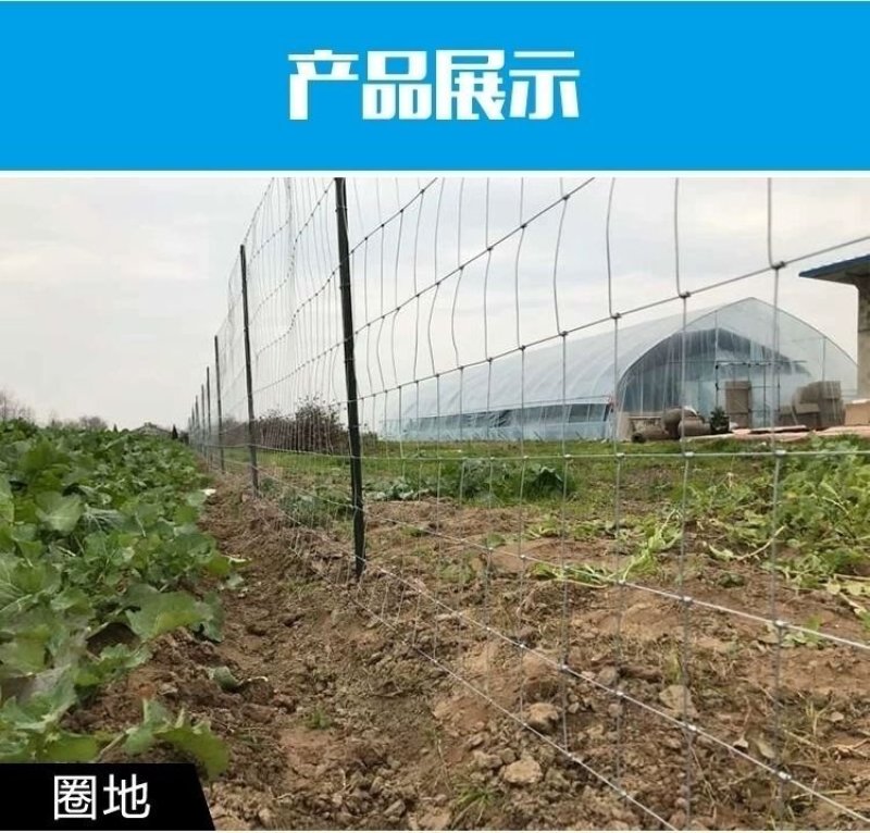 养殖网草原网围网圈山围地圈牛羊网