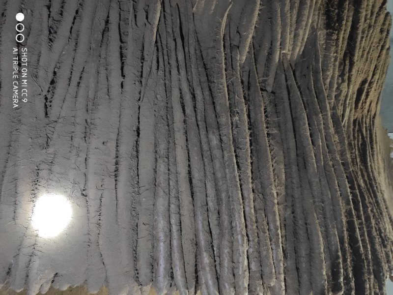白玉山药原产地山药白玉山药种植基地白玉山药