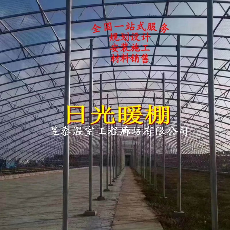暖棚日光大棚钢架薄膜大棚蔬菜种植大棚昱泰温室大棚设计建设