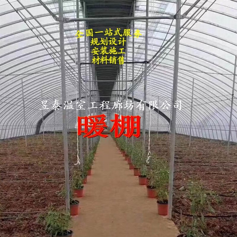 暖棚日光大棚钢架薄膜大棚蔬菜种植大棚昱泰温室大棚设计建设