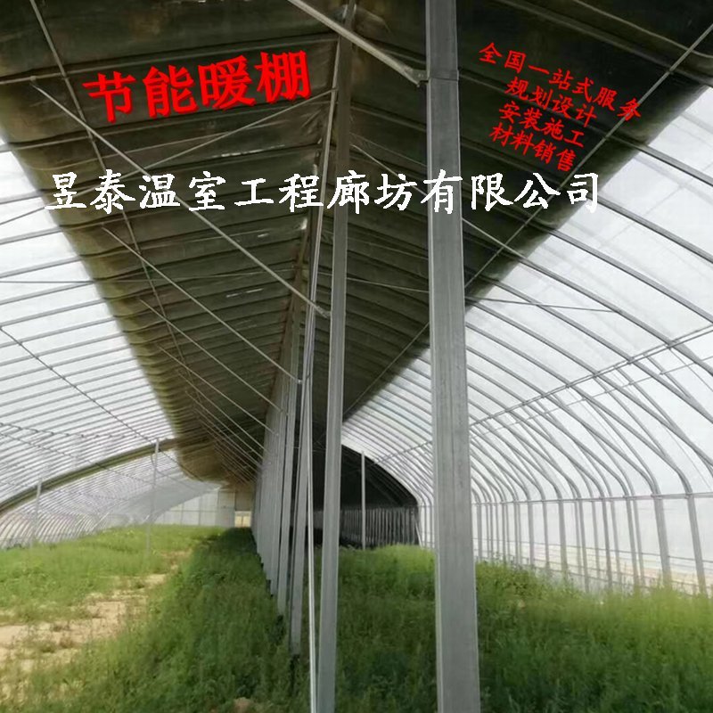 暖棚日光大棚钢架薄膜大棚蔬菜种植大棚昱泰温室大棚设计建设