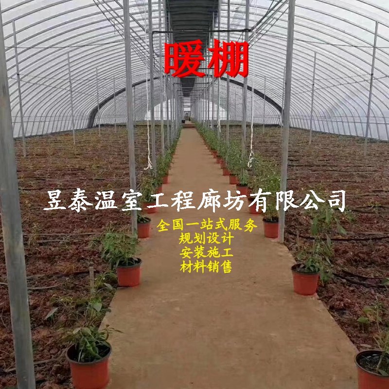 暖棚日光大棚钢架薄膜大棚蔬菜种植大棚昱泰温室大棚设计建设
