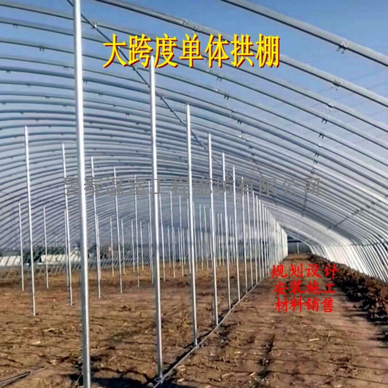 暖棚日光大棚钢架薄膜大棚蔬菜种植大棚昱泰温室大棚设计建设