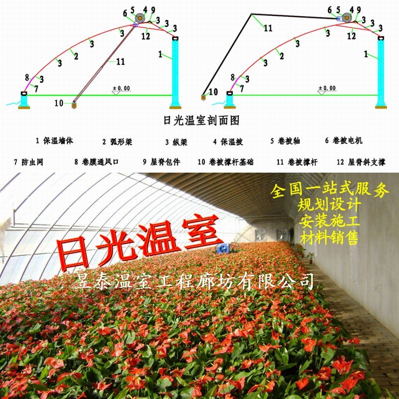 日光温室几字钢椭圆管大棚薄膜蔬菜大棚昱泰温室大棚设计建设