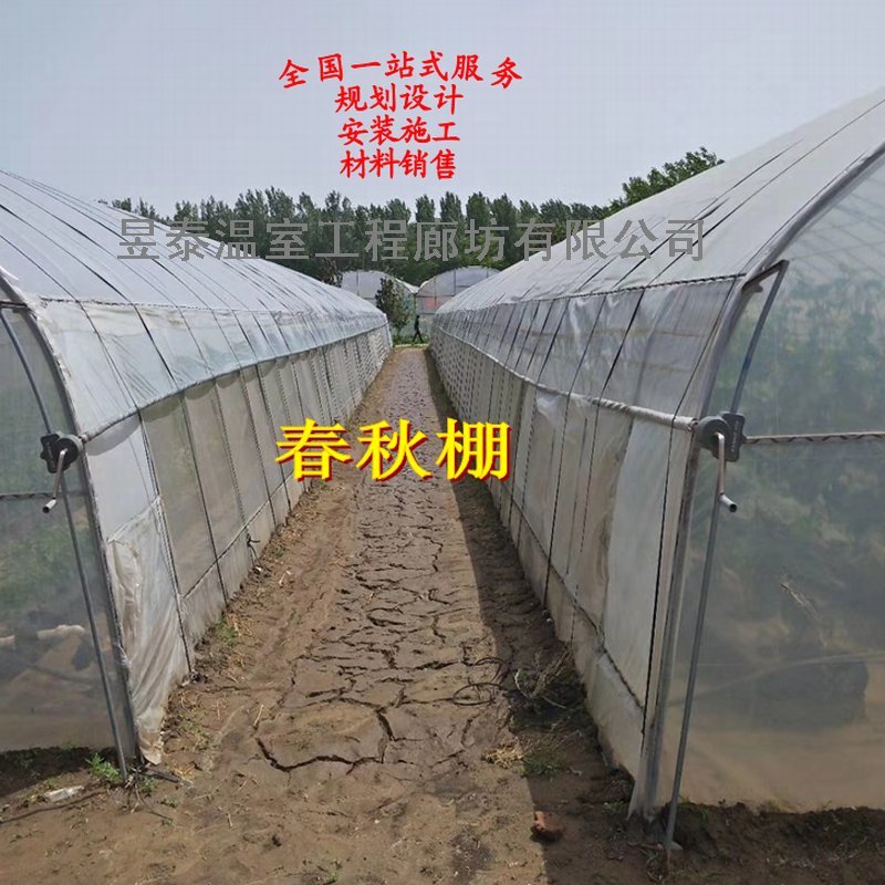 春秋棚冷棚单体拱棚插地棚薄膜蔬菜大棚昱泰温室大棚设计建设