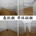 玻璃温室智能连栋温室日光温室暖棚春秋棚昱泰温室大棚建造