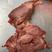 【五香牛肉】五香牛腱子肉，五香牛烩扒肉，精修纯干.8成熟